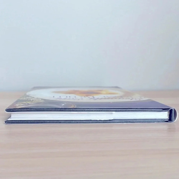 Creme Brulee And Other Custard Desserts Hardcover Recipe Book Vintage 1998 - Picture 11 of 12